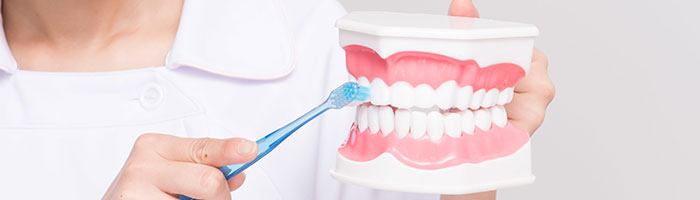 予防歯科の重要性